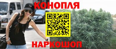дмт Обь