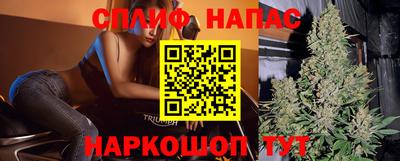 дмт Обь