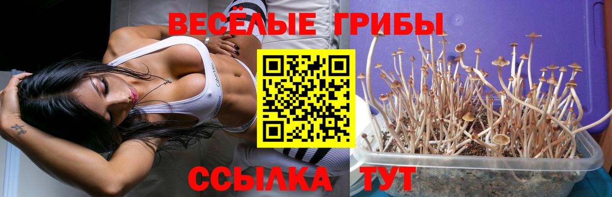 Галлюциногенные грибы прущие грибы Сургут